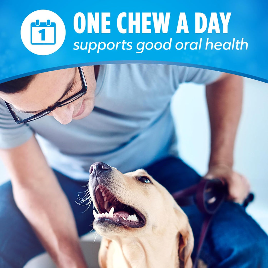 DentaLife Daily Oral Care Dog Treats for Small and Medium Dogs