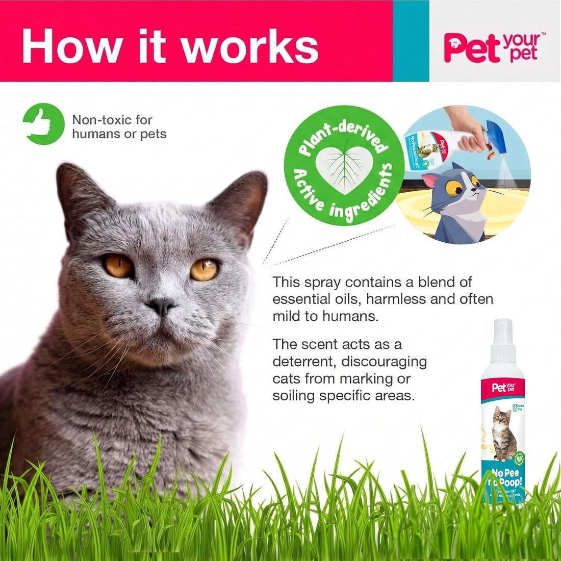 Cat Potty Training Spray No Pee No Poop, 16 Fl Oz
