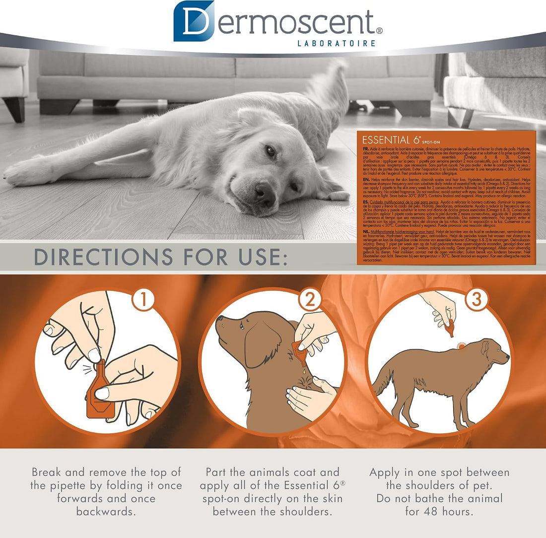 Dermoscent Essential 6 spot-on