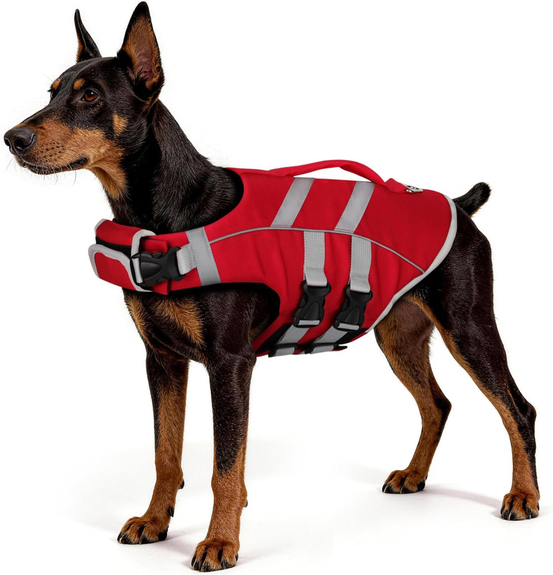 Reflective Dog Life Jacket Ripstop High Buoyancy Swim Vest Red S