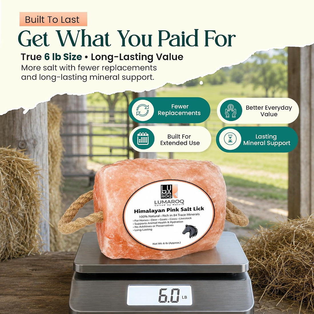 Himalayan Pink Salt Lick On Rope 6lbs for Horses, Deer