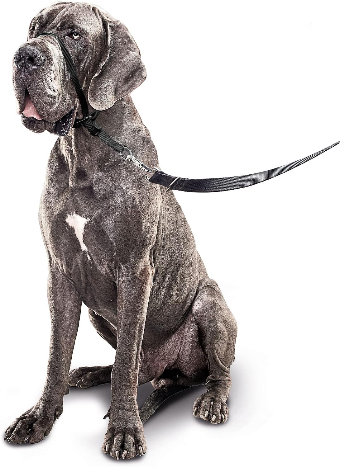 Beaphar Gentle Leader L Black 1 Piece - Dog Head Collar - Fabric