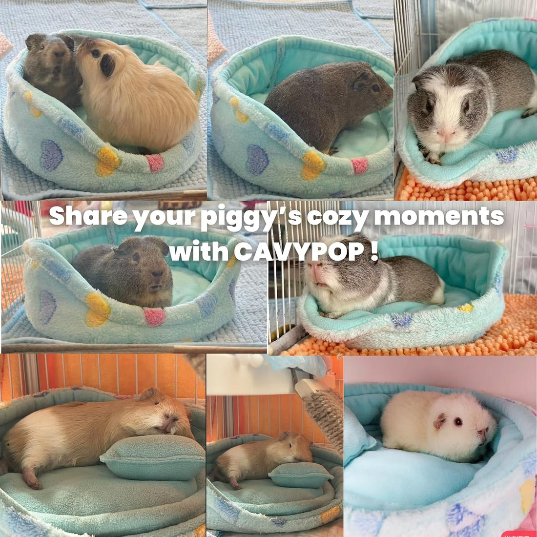 Guinea Pig Couch Bed, Plush Sofa with 2 Washable Mats & Pillow