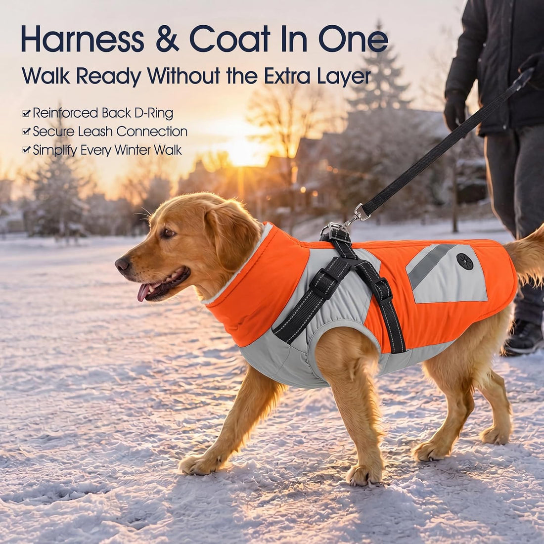 Dog Winter Coat Waterproof - Orange,Medium