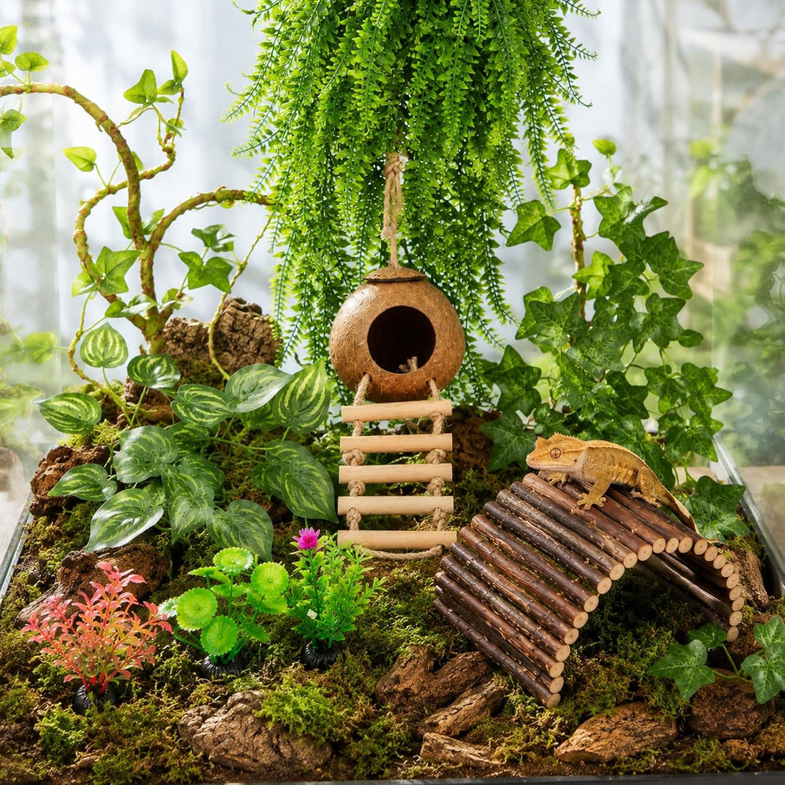 RUNANIA Crested Gecko Tank Accessories，Reptile Vines Plants