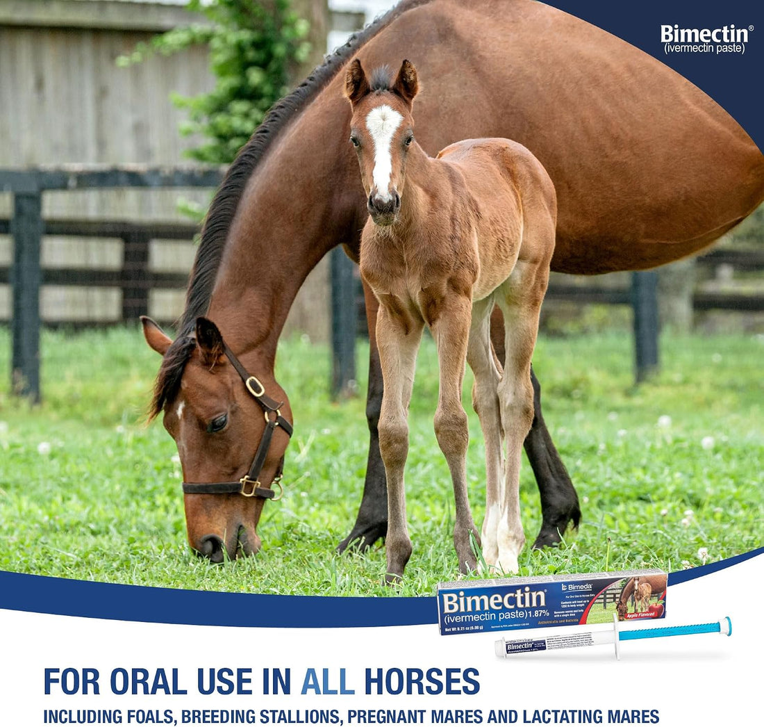 Ivermectin Paste 1.87% Horse Dewormer