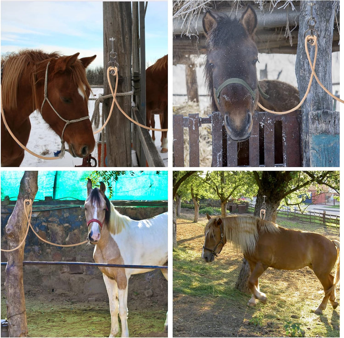 Martx Blocker Tie Ring for Horses, Stainless Steel Tack Accessories
