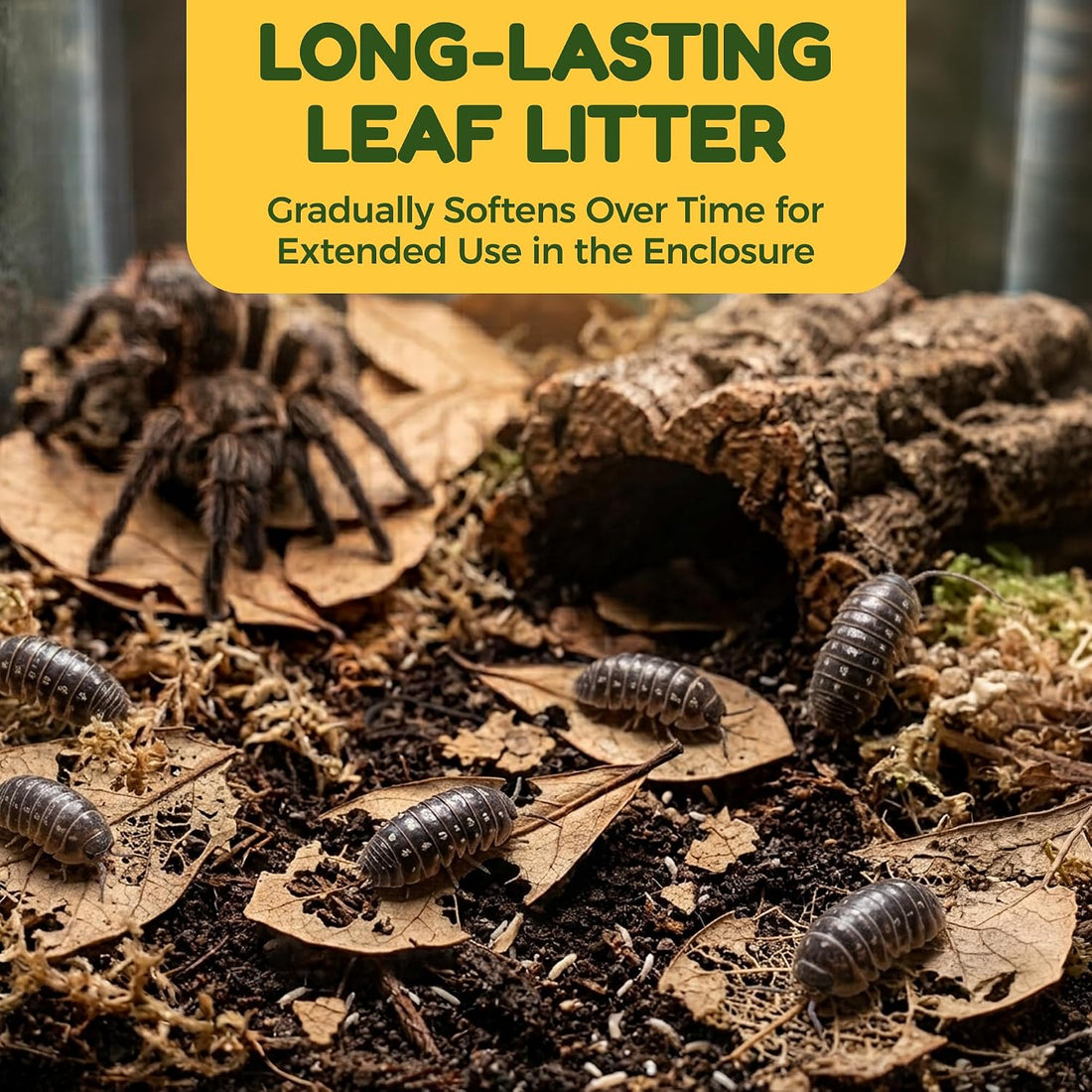 SunGrow 50 Pack Leaf Litter for Spider, Cricket & Isopod