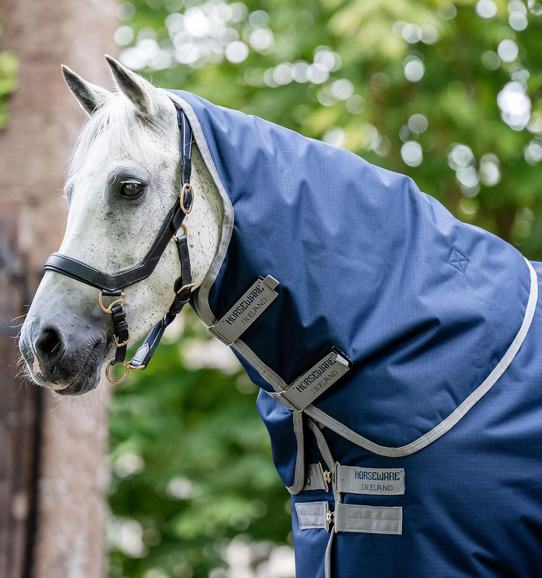 Horseware® Amigo® Ripstop 900D Plus Turnout 100g
