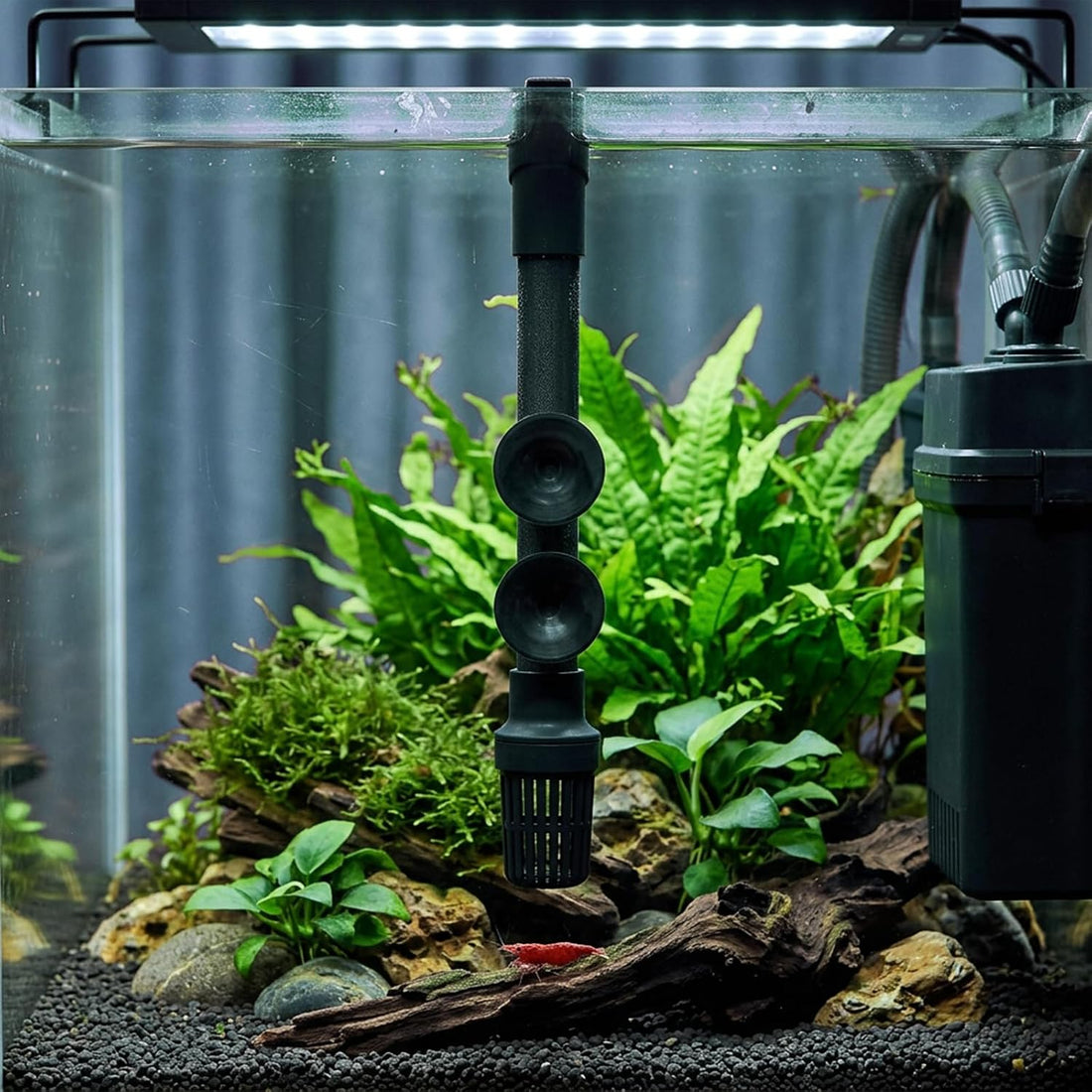 40PCS Fish Tank Suction Cups,Rubber Black Suction Cups