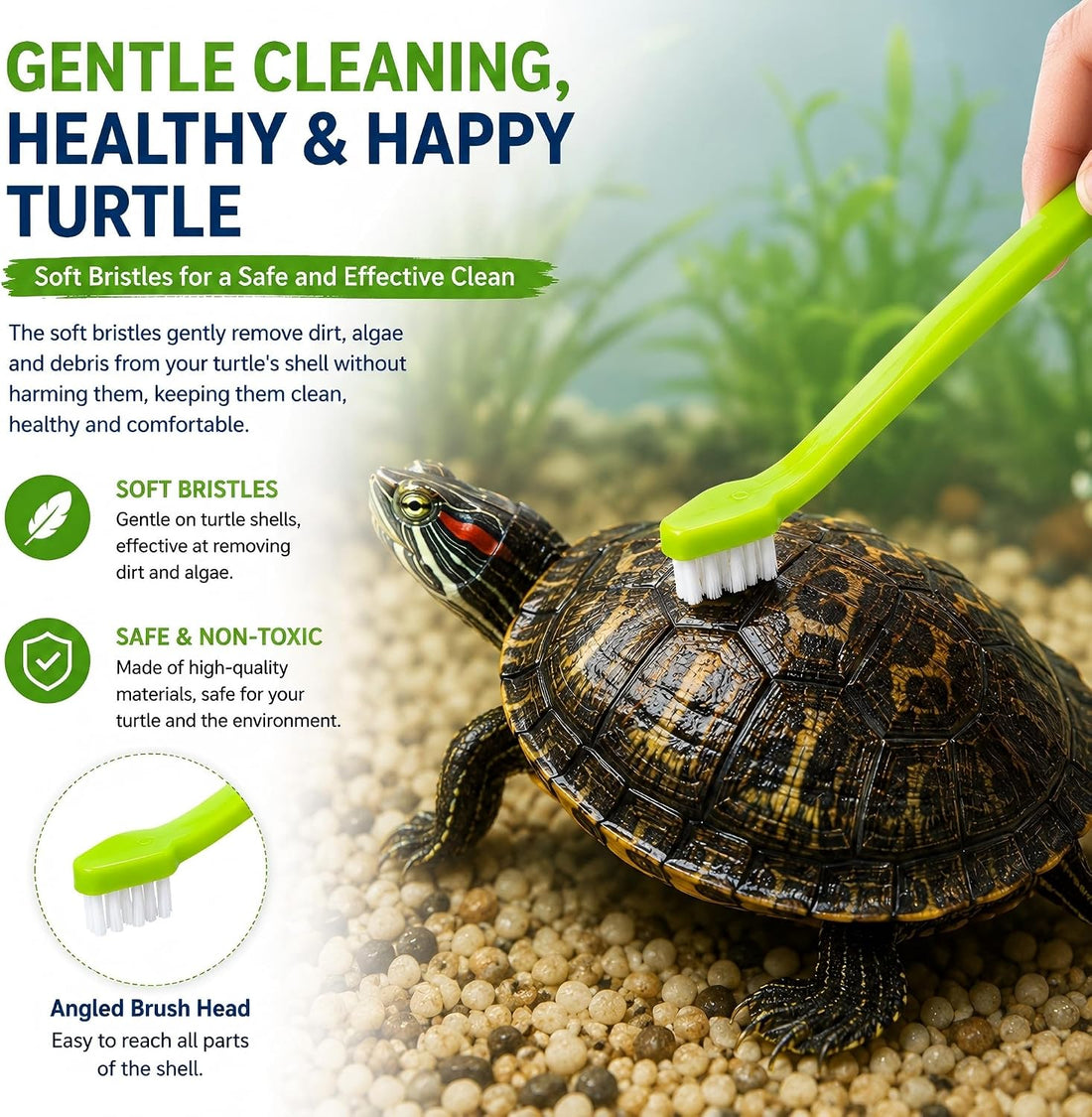 Turtle Brush with Suction Cup, Feeding Rings & Turtle Tank Accessories