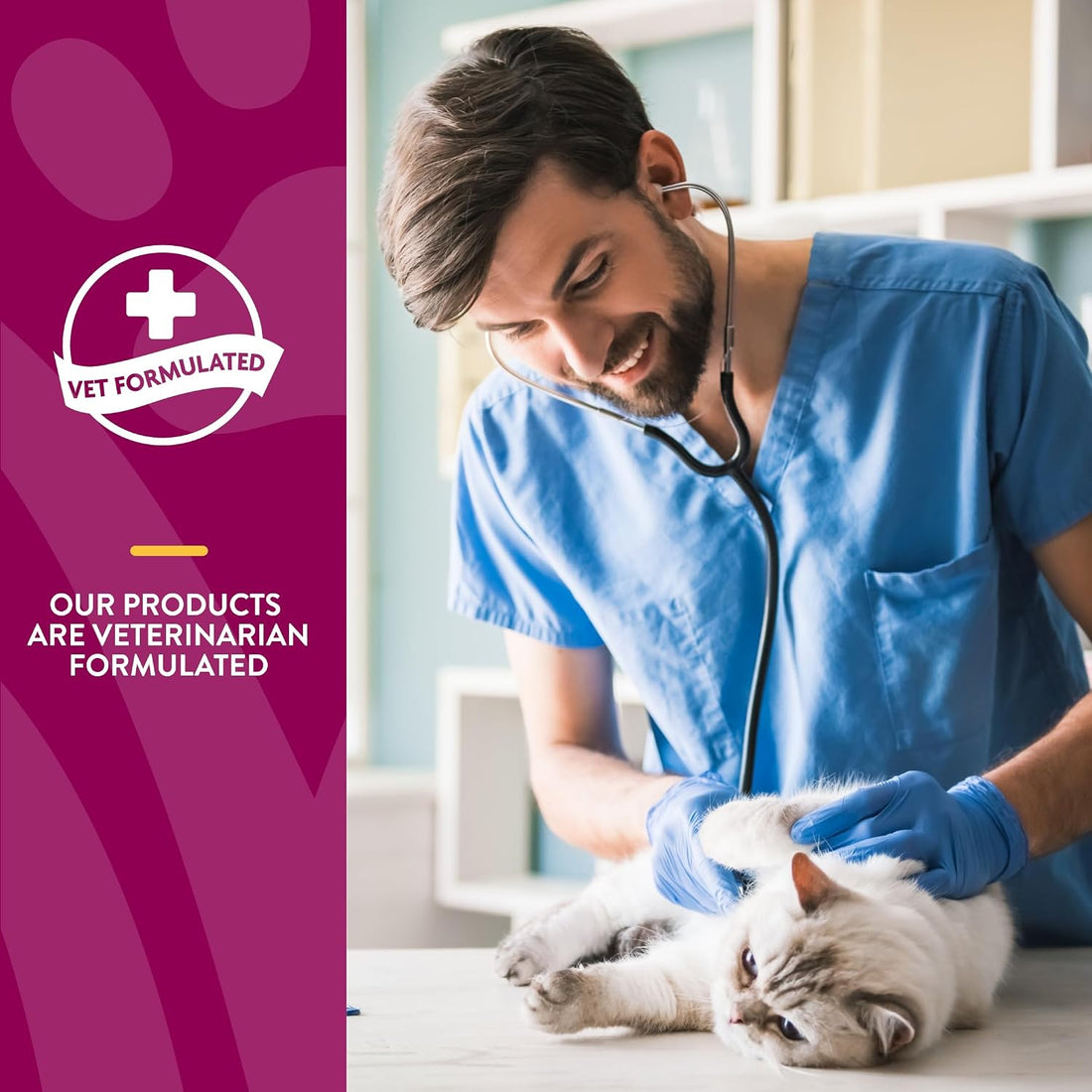 NaturVet Hip & Joint Supplements for Cats