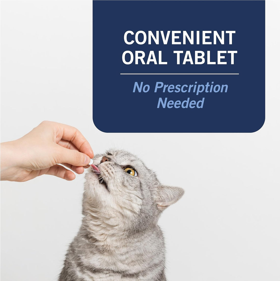 PetArmor CAPACTION Oral Flea Treatment for Cats