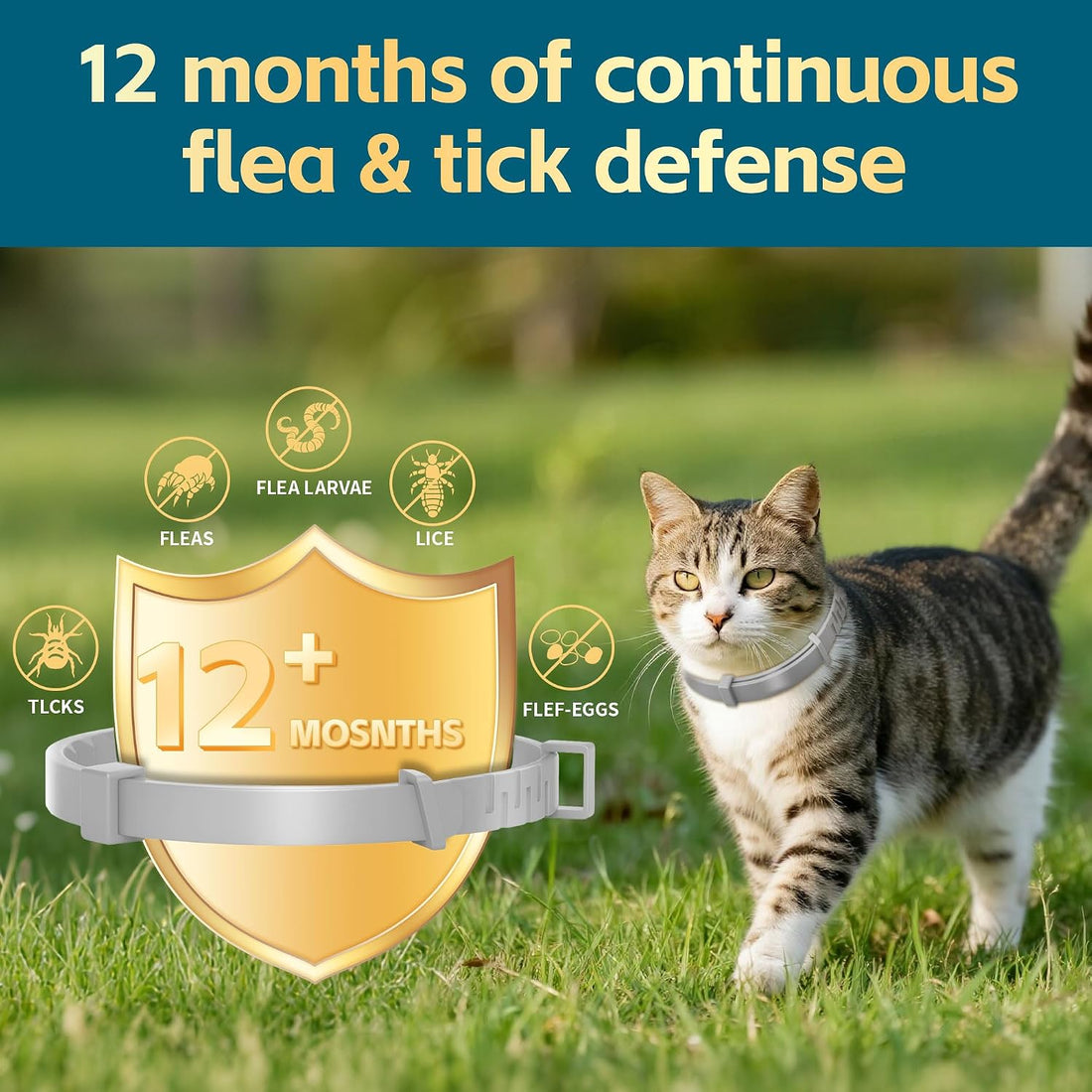 Flea and Tick Collar for Cat – 8-Month Protection