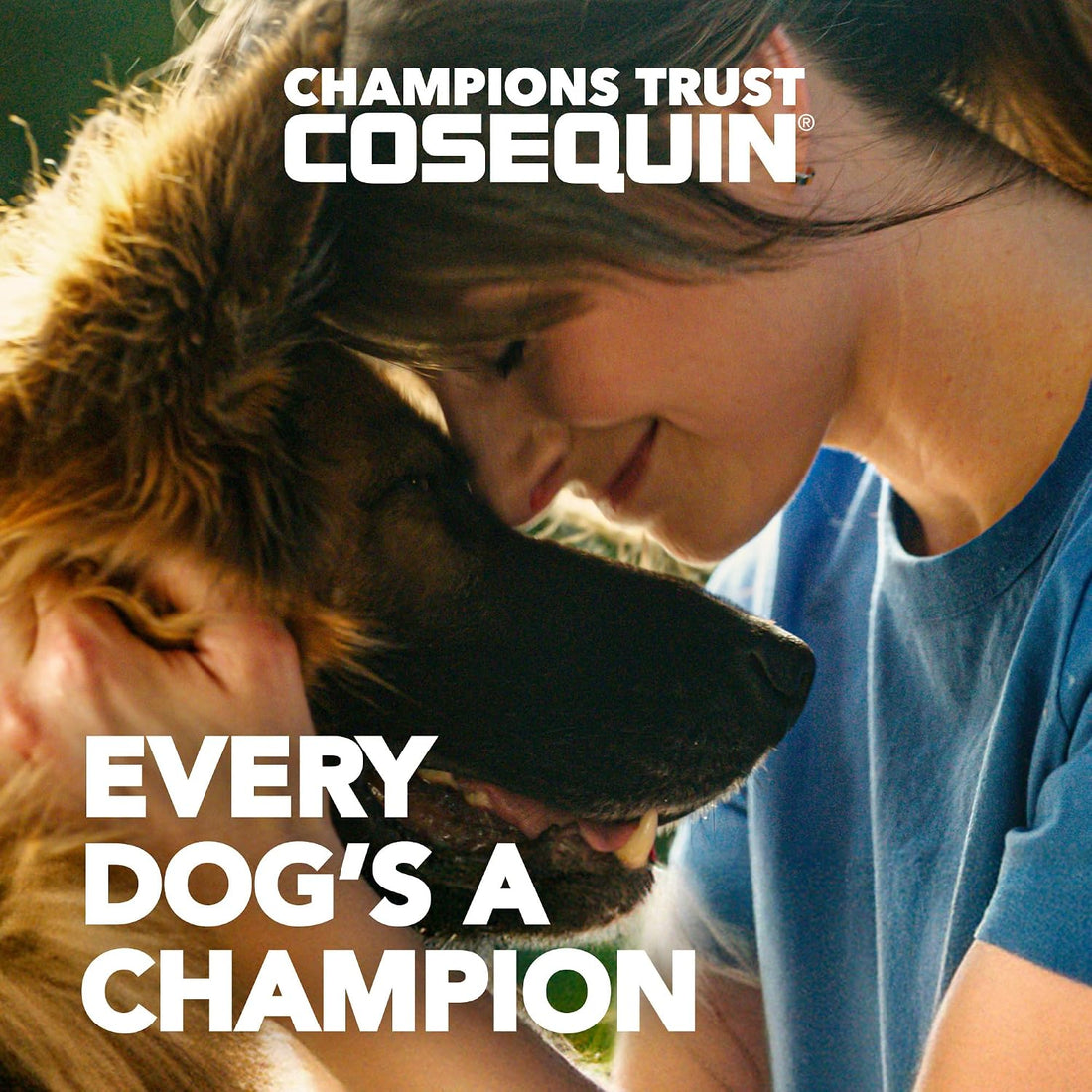 Nutramax Cosequin for Dogs Joint Health Supplement