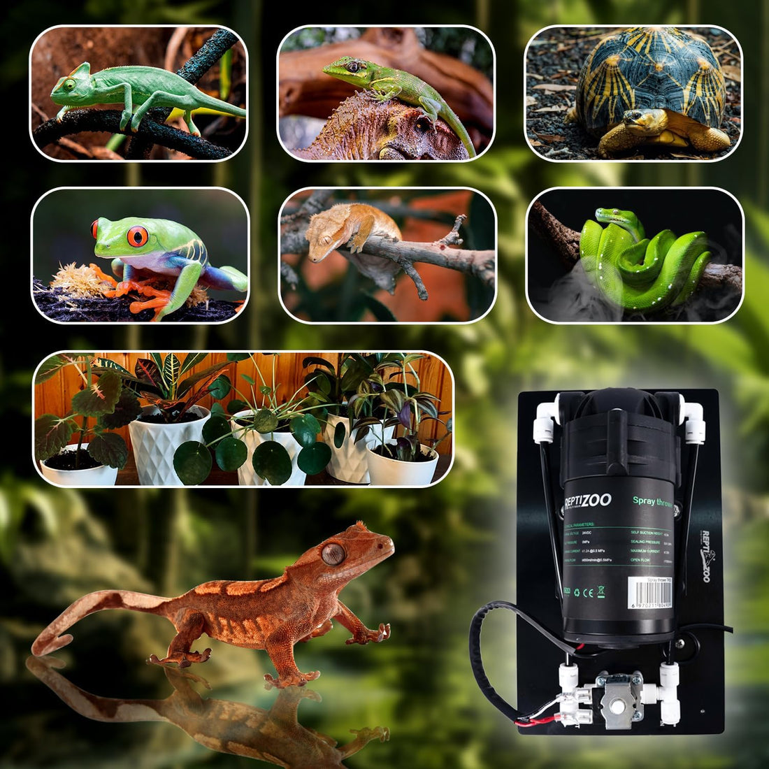 Reptile Misting System with Timer