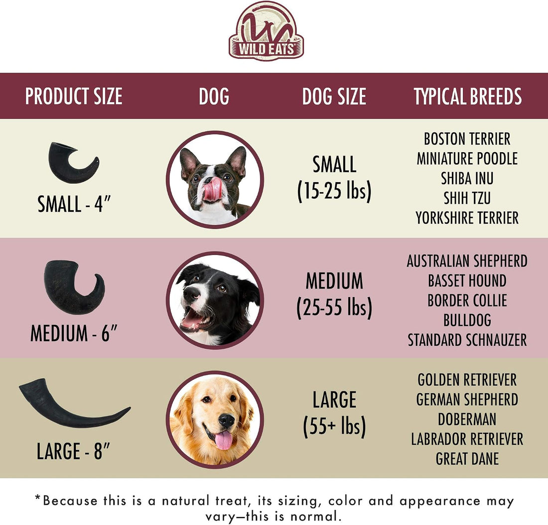 Wild Eats Water Buffalo Horn Dog Bones and Chews, 4 Pack, Medium