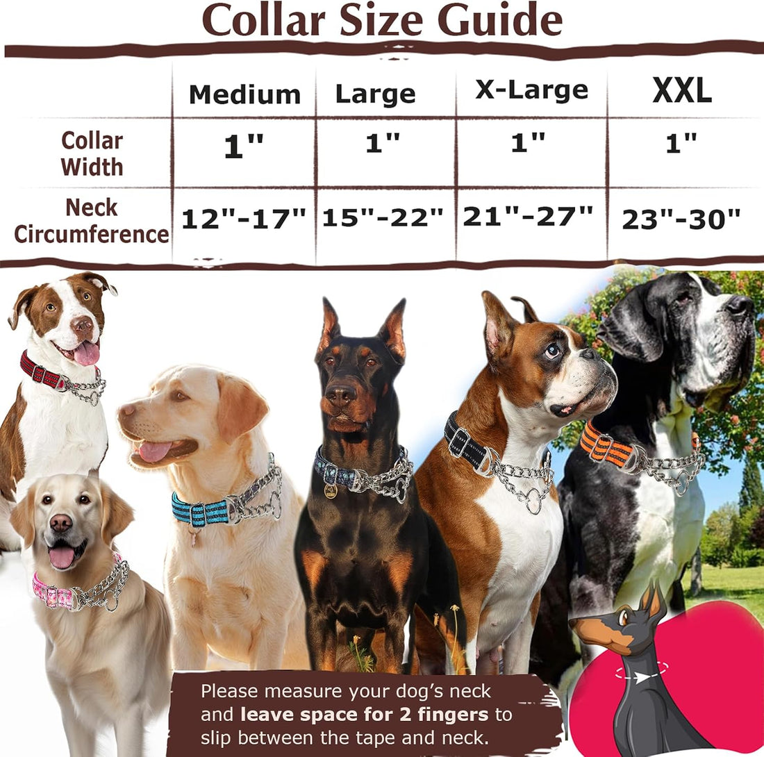 Chain Martingale Collar for Dogs, Dog Training Choker Collar-Bule L