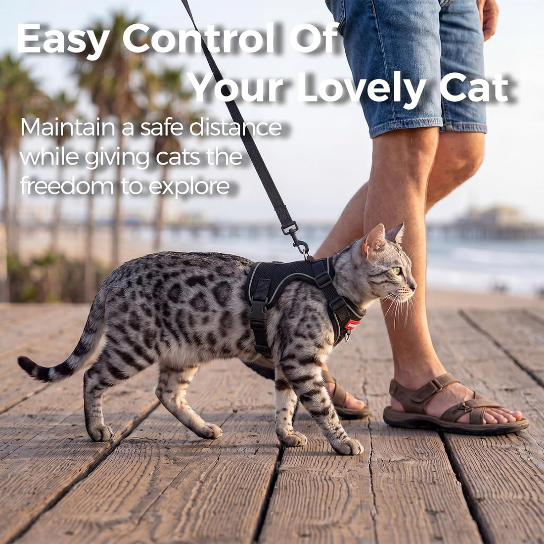 Cat Harness and Leash Set, Lightweight Air-Mesh Cat Vest, Black, XL