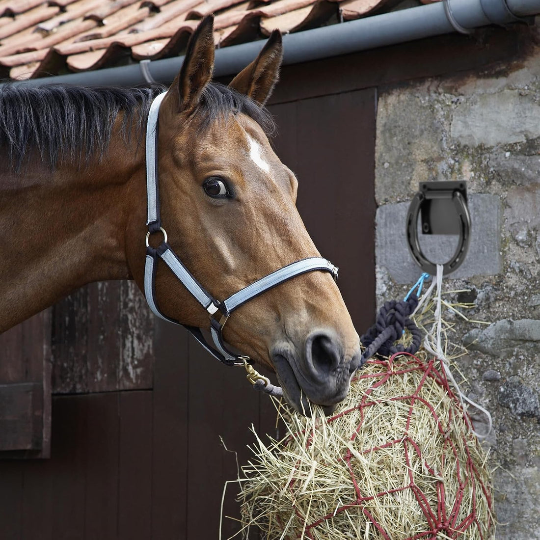 Zhengmy 2 Set Heavy-Duty Tie Ring for Horses with 8 Expansion