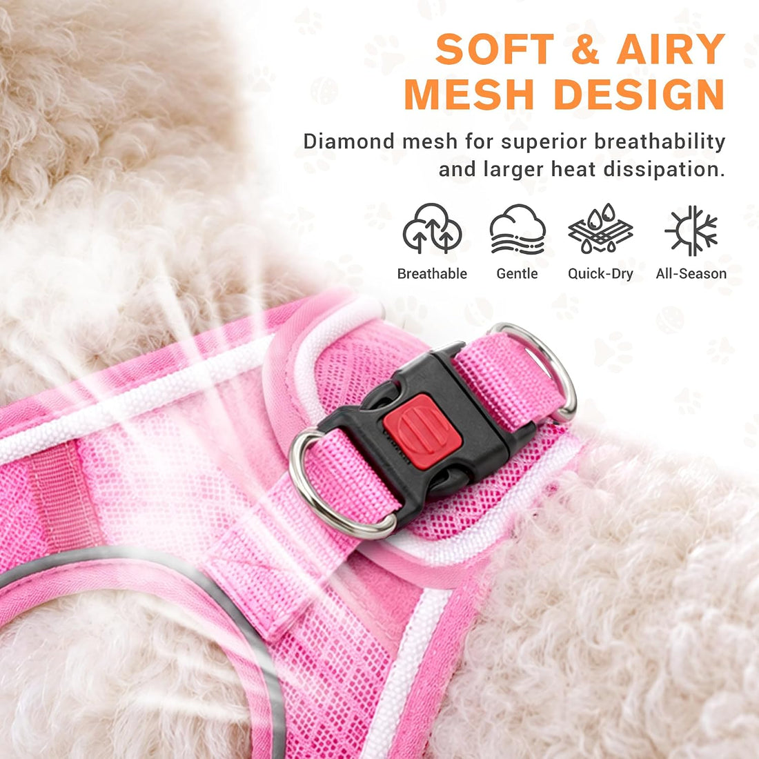 LED Dog Harness for Small Dogs Nighttime Safety Walks