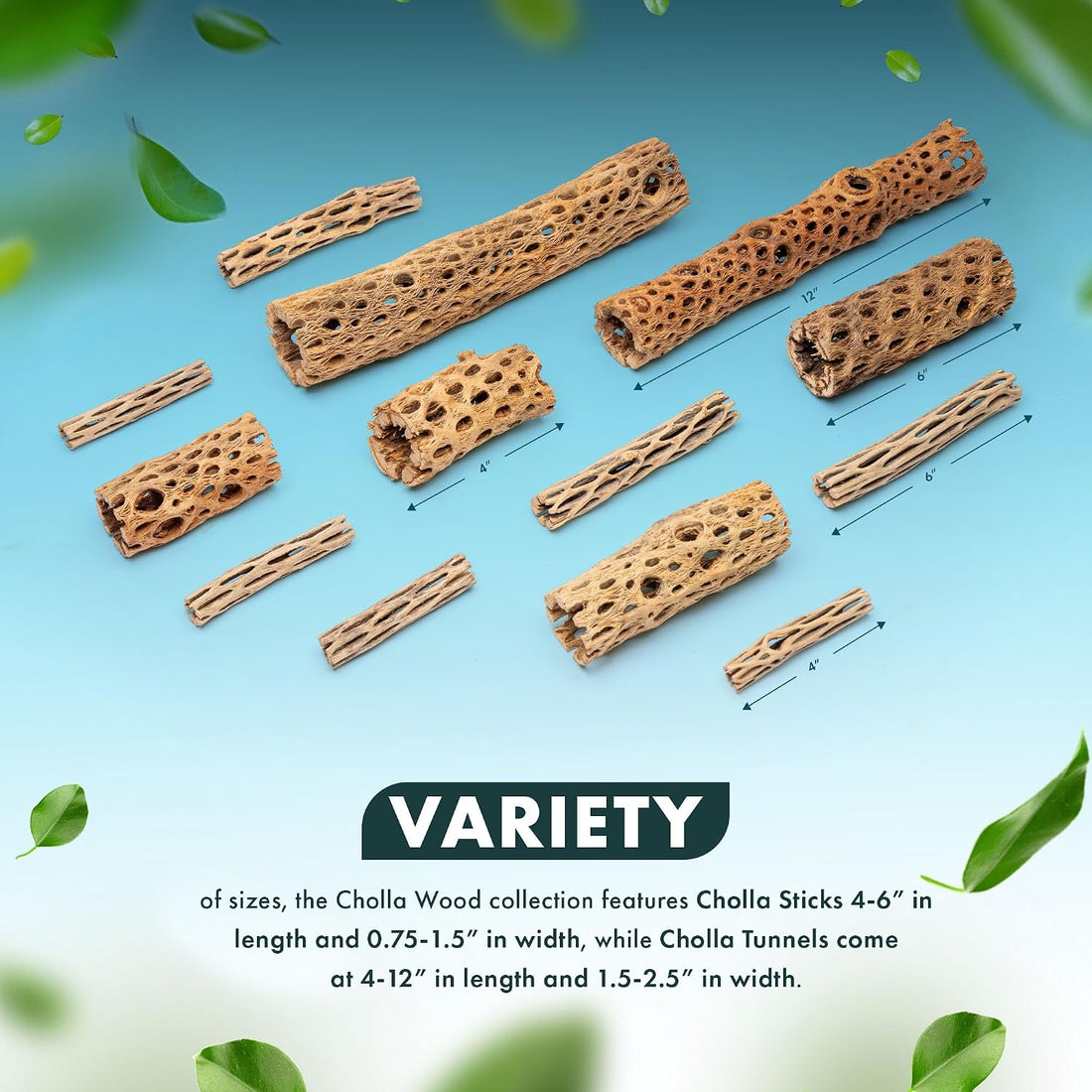 SubstrateSource Natural Cholla Wood - 3PC