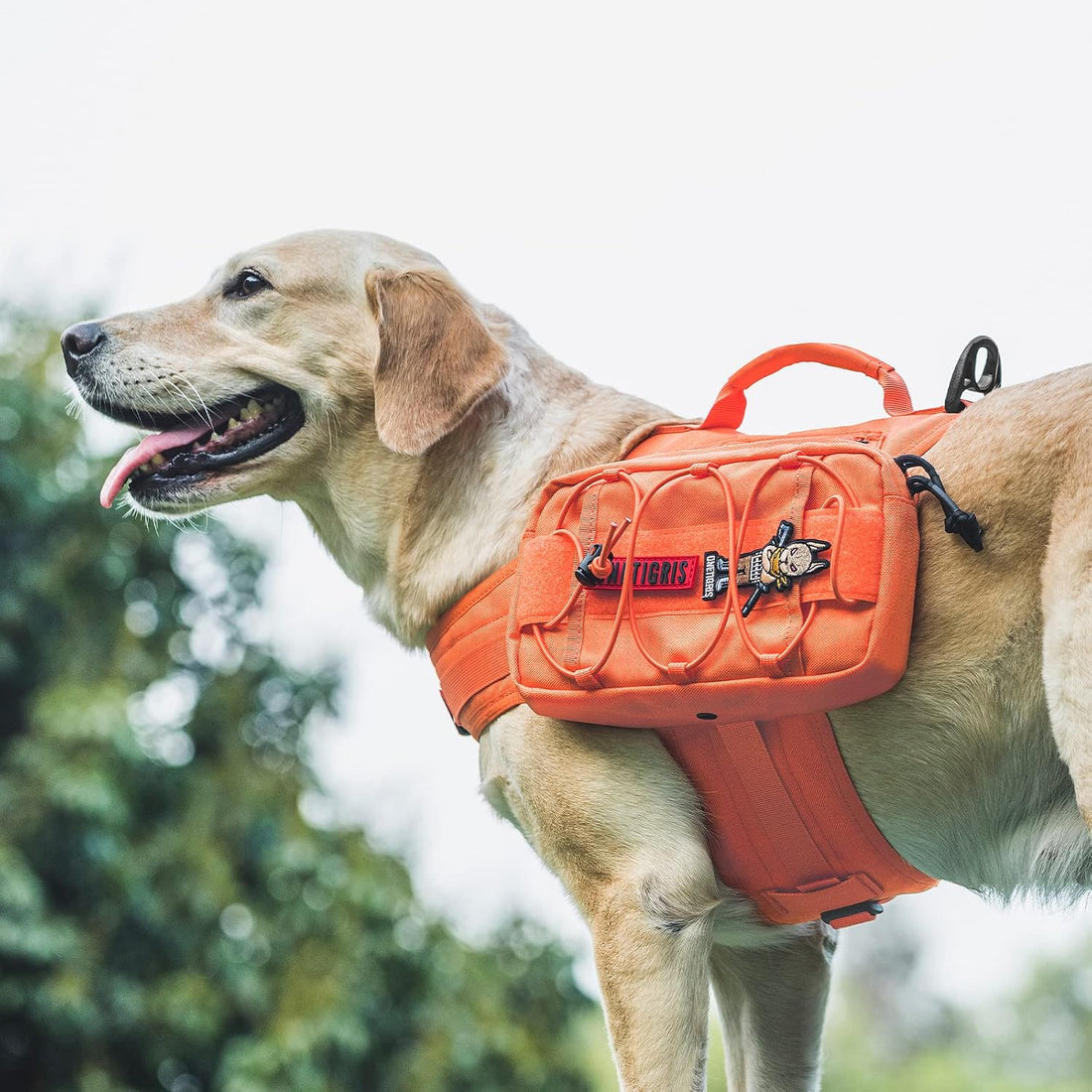 OneTigris Dog Backpack for Medium & Large Dogs