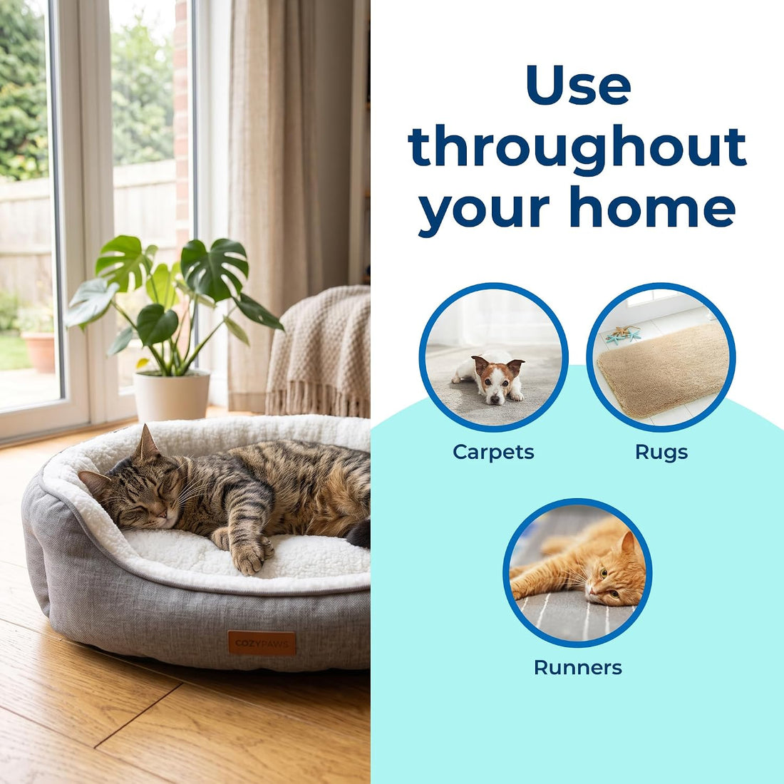 Carbona 2-in-1 Oxy-Powered Pet Stain & Odor Remover, 22 Fl Oz