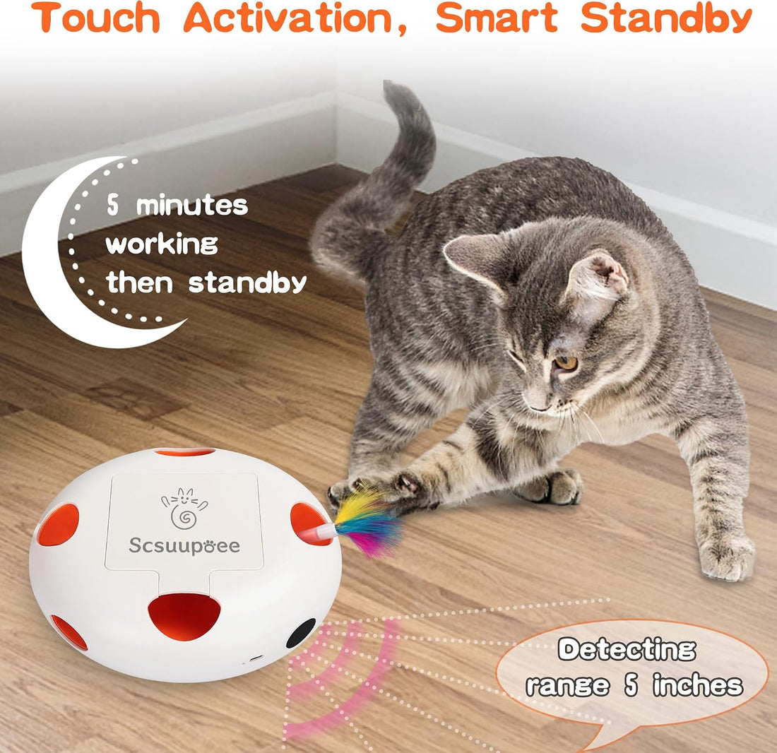 Rechargeable Interactive Cat Toy