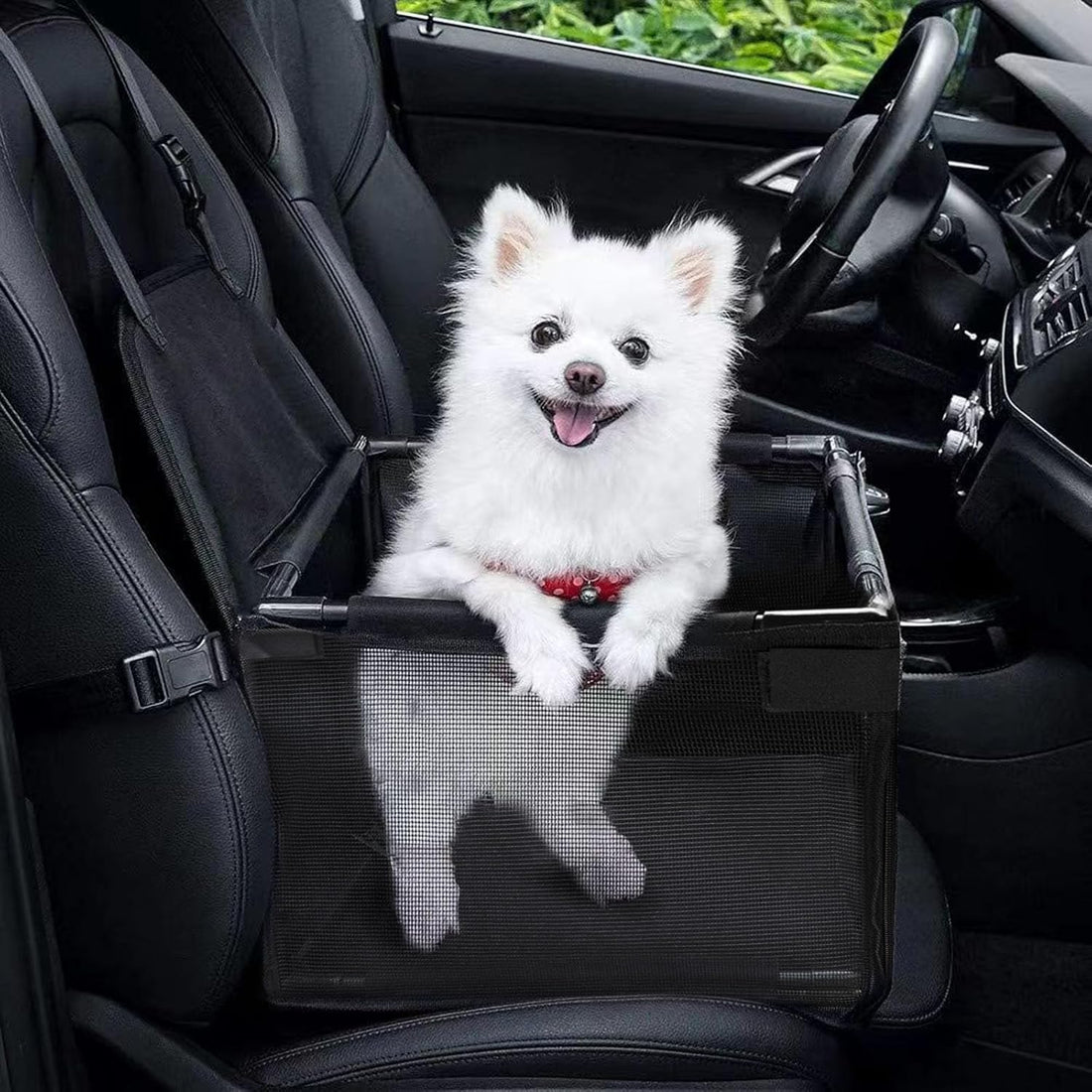 GENORTH Small Dog Car Seats for Small Dogs,Portable Puppy/Pet Car