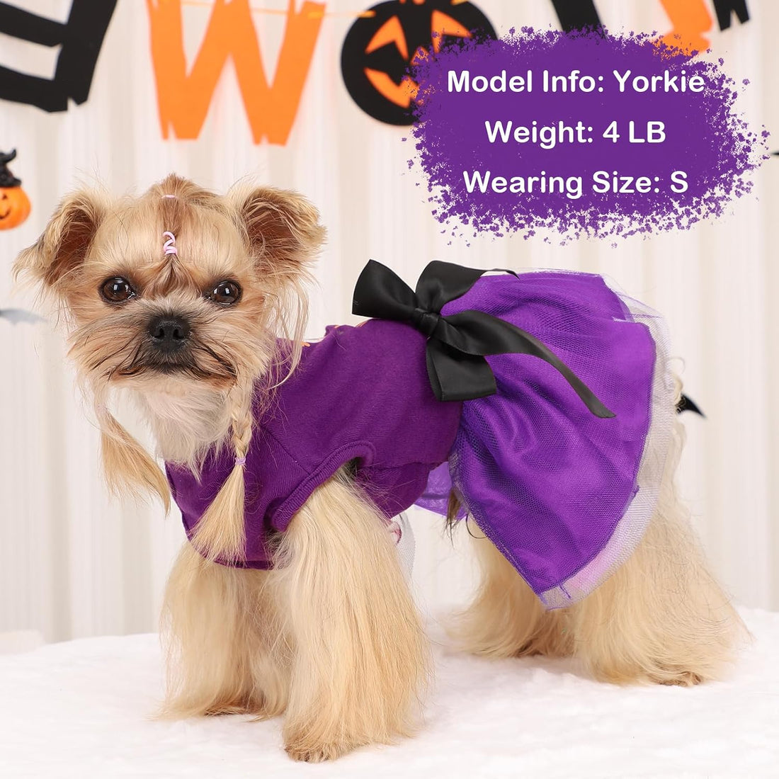 Halloween Dog Dress with Led Light,Small Dog Halloween