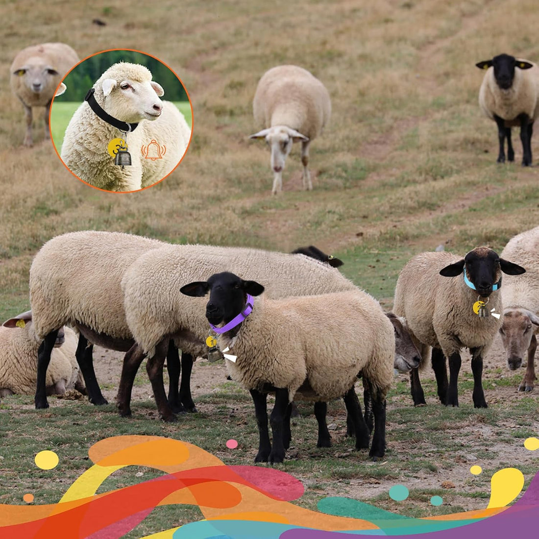 12 Pack Goat Collars with Bells and Number Tags, Adjustable Nylon