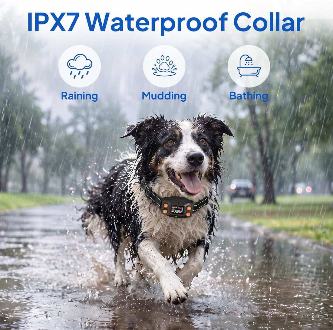 GPS Wireless Dog Fence System, Wireless Fence Collars, No Subscription