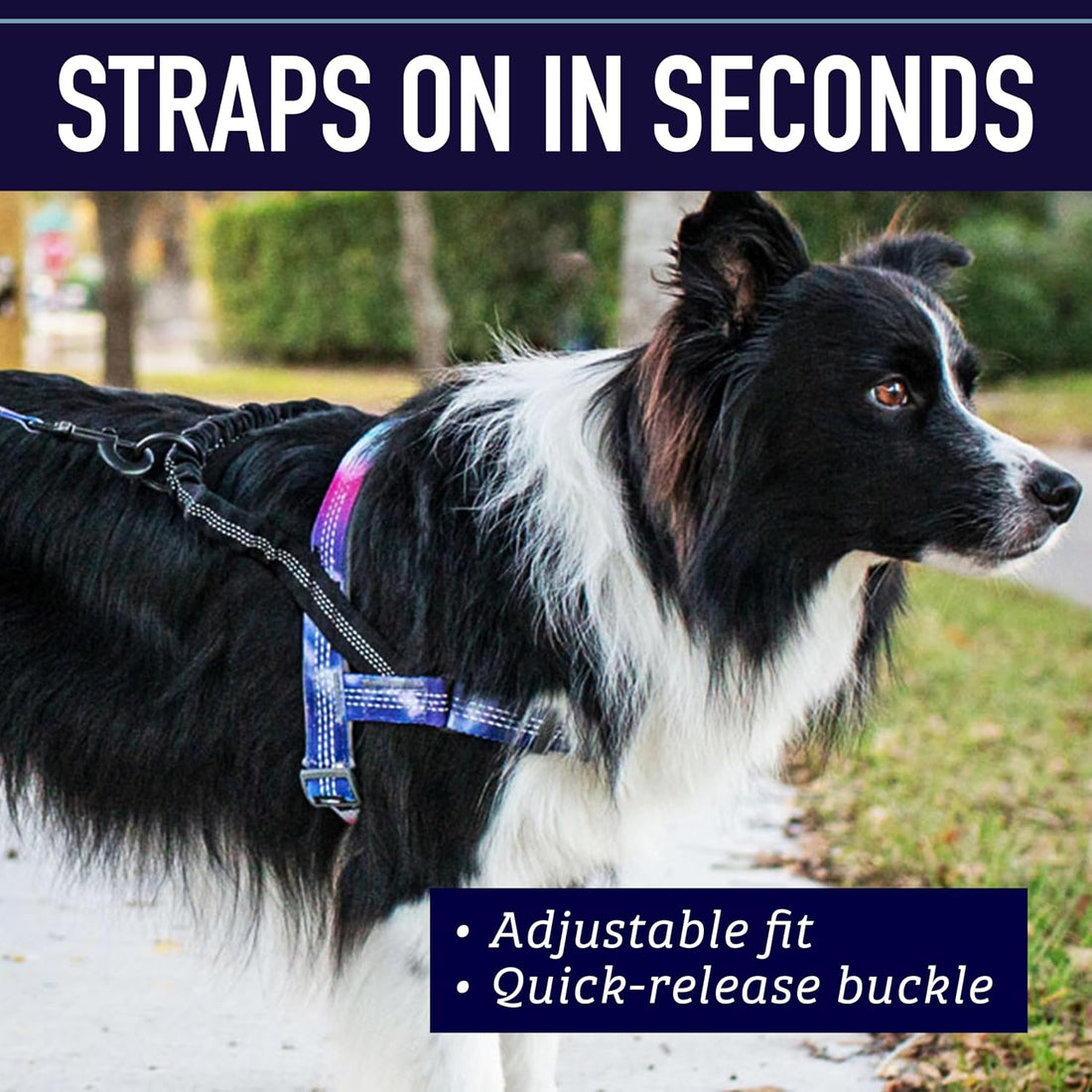 Leash Boss No Pull Dog Harness, Easy Walk for Small, Medium