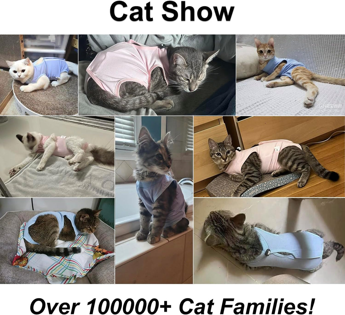 QIYADIN Cat Recovery Suit, Surgical Recovery Clothes for Abdominal