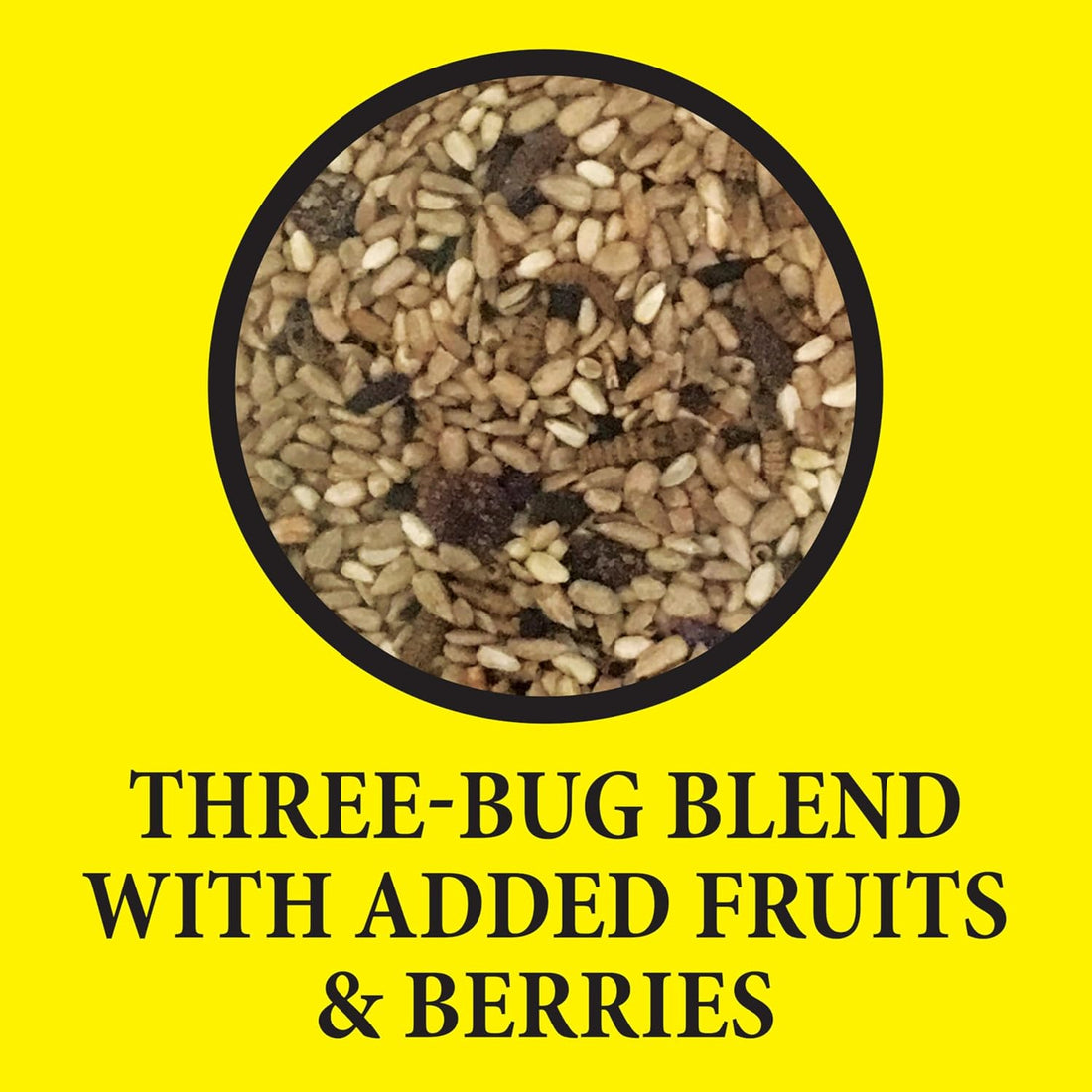 Wild Delight Advanced Formula Bugs N Berries Wild Bird Food 4.5 lbs