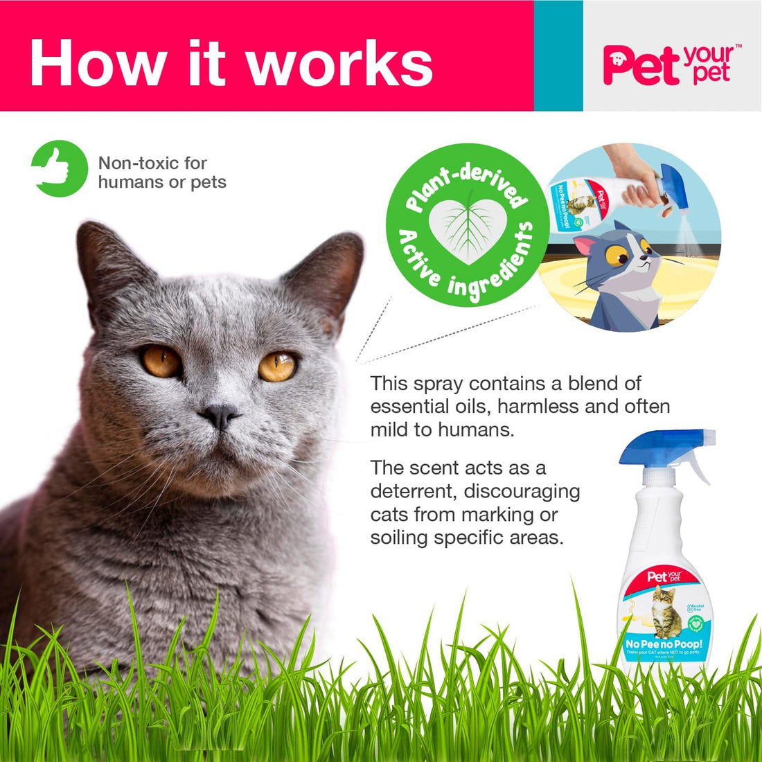 Cat Potty Training Spray No Pee No Poop, 16 Fl Oz