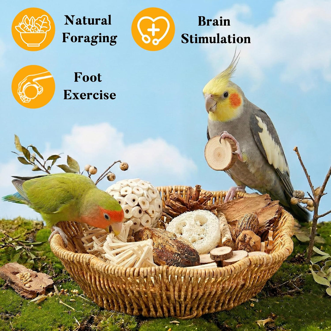 Jevnd 20Pcs Bird Foraging Toy Set with Hanging Basket