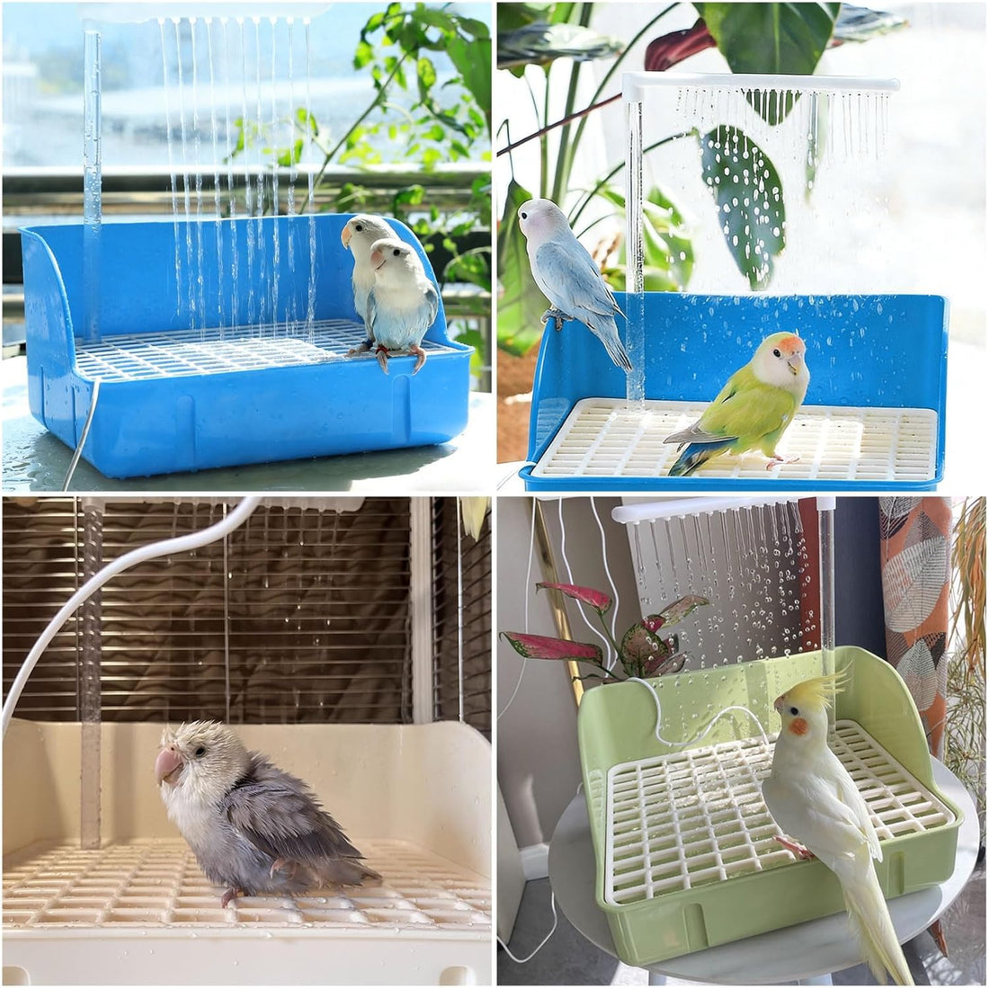 Automatic Parakeet Bird Bath Shower with Pump,Large Bird Bathtub