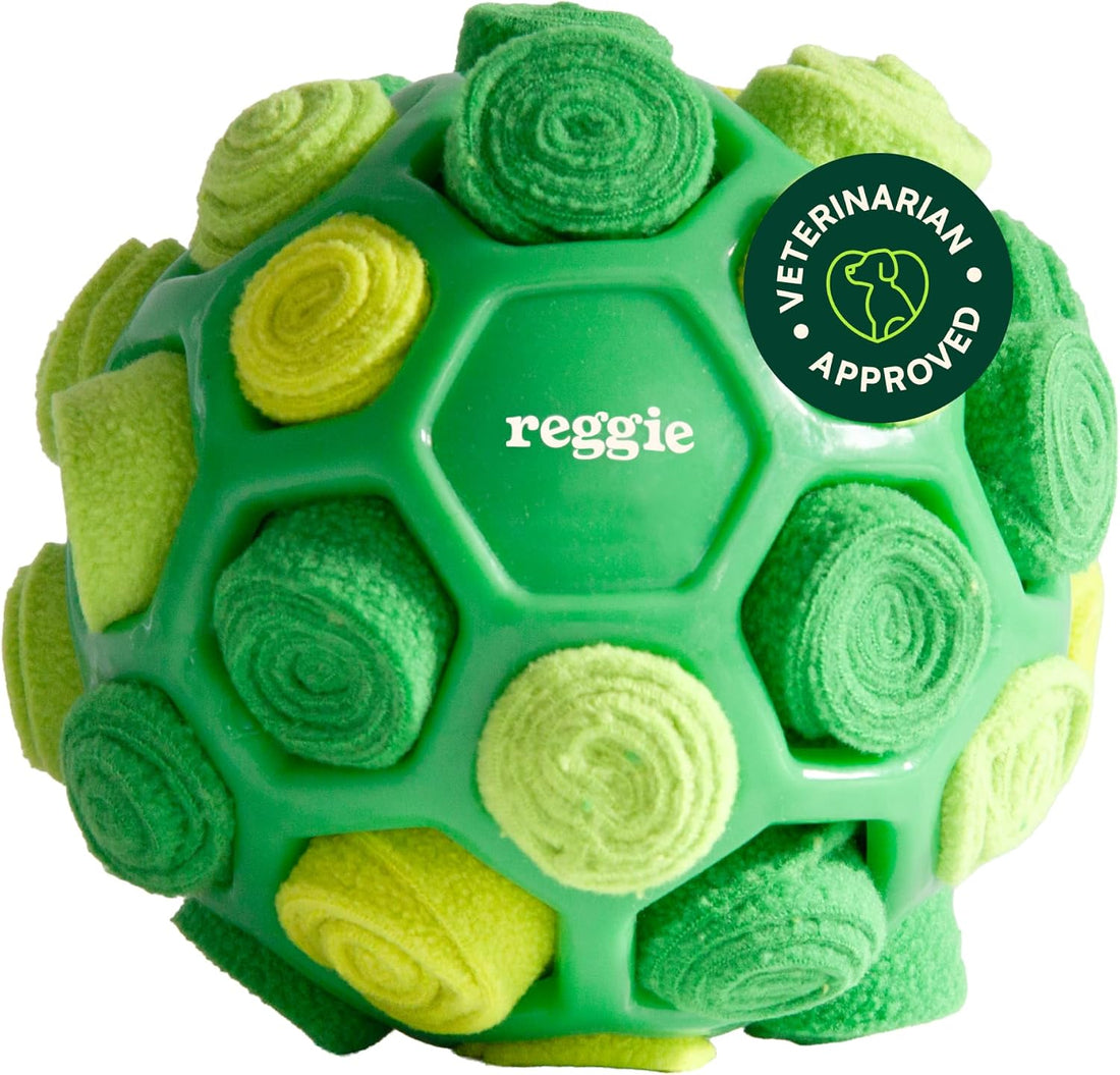 Reggie Snuffle Ball for Dogs