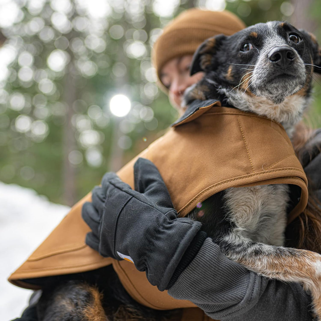 Carhartt Firm Duck Insulated Dog Chore Coat