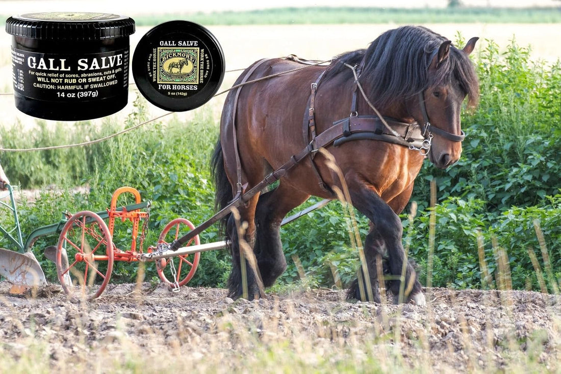 Bickmore Gall Salve Wound Cream for Horses