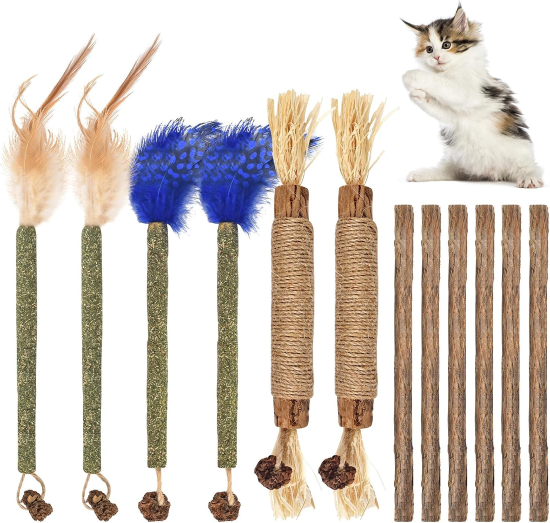 Bissap 12 PCS Silvervine Chew Sticks for Cats