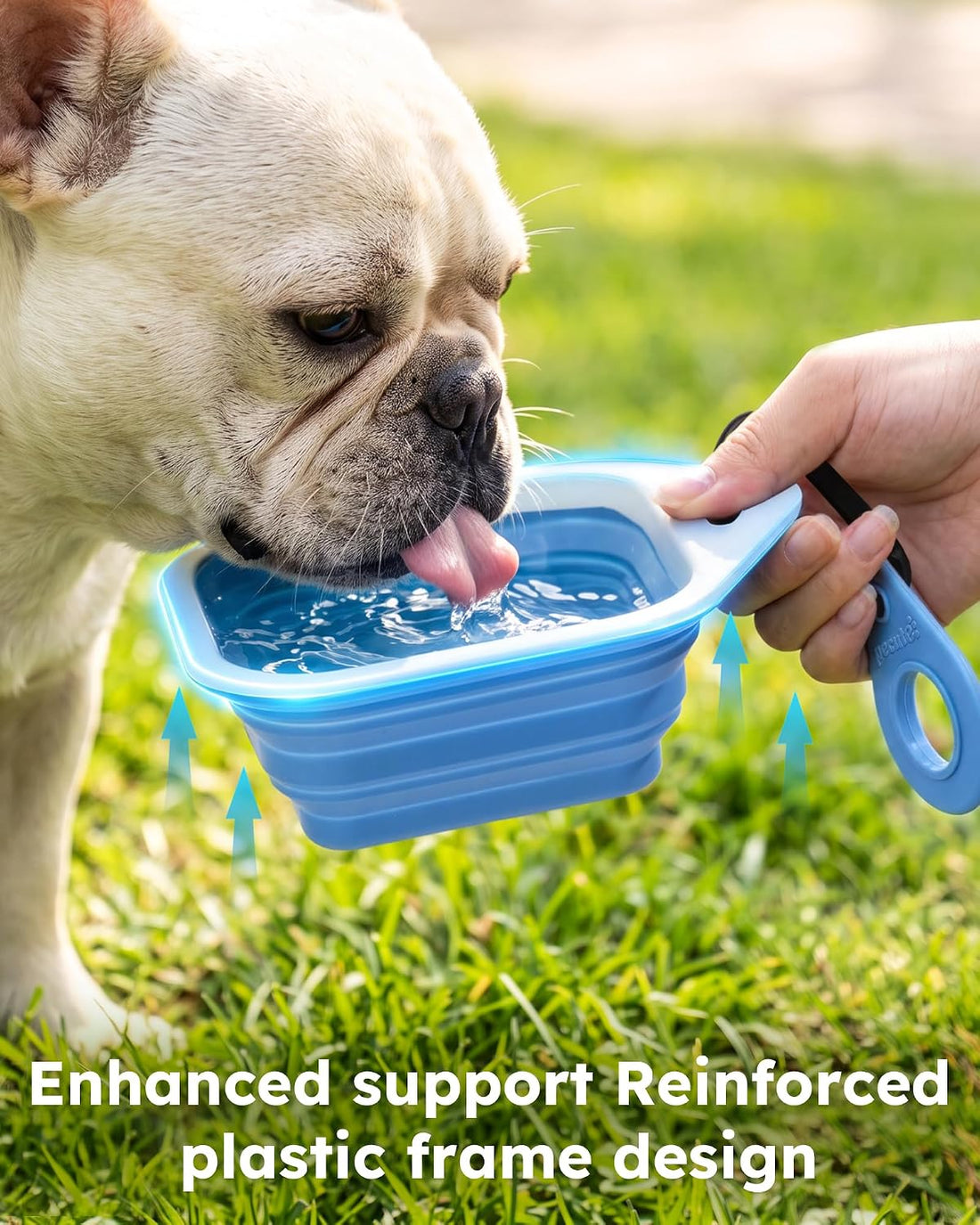 Pecute 2 Pack Collapsible Dog Bowls, Food-Grade Silicone