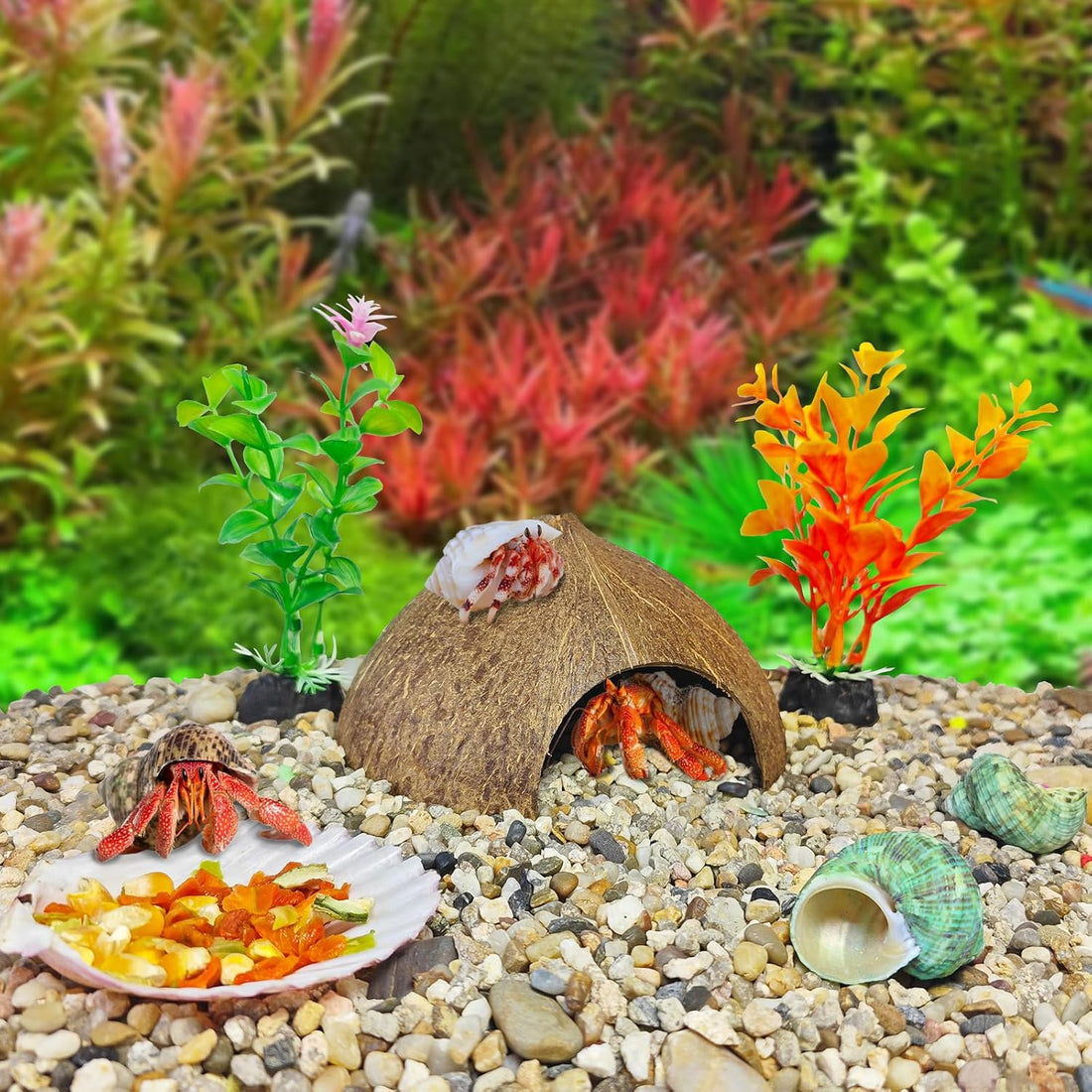 8PCS Hermit Crab Accessories Climbing Toys Hammock & Coconut Shell