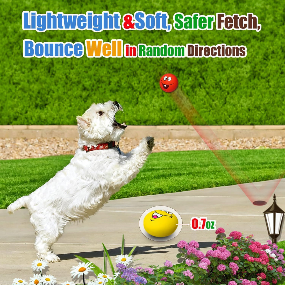 HOLYSTEED Latex Squeaky Dog Toys for Small Dogs, Mini Breed