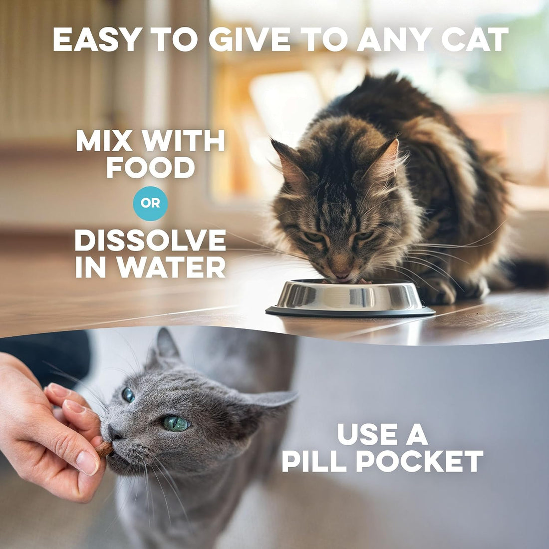BestLife4Pets Cat Respiratory Comfort Supplement - 400 Pills