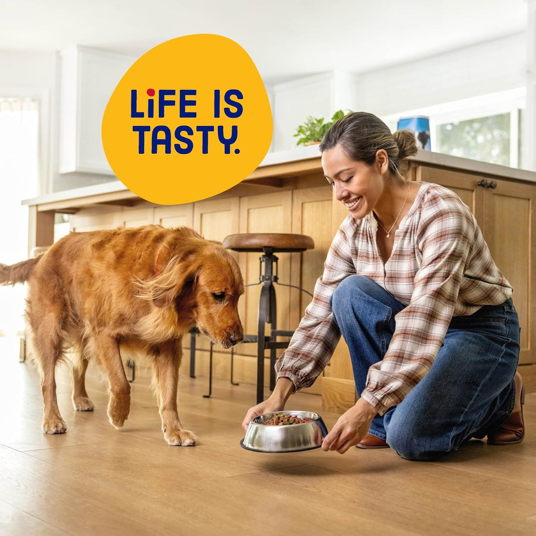 Kibbles 'n Bits Original Savory Beef & Chicken Flavor Dry Dog Food