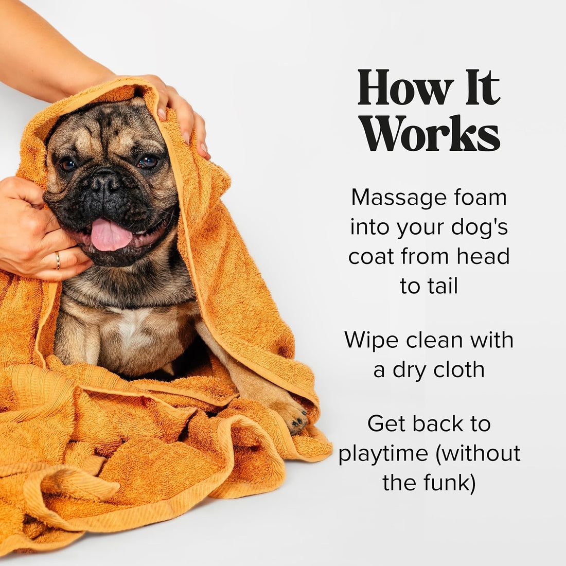 Poo-Pourri Rinse-Free Deodorizing Dry Shampoo for Dogs & Cats, 6 Fl Oz
