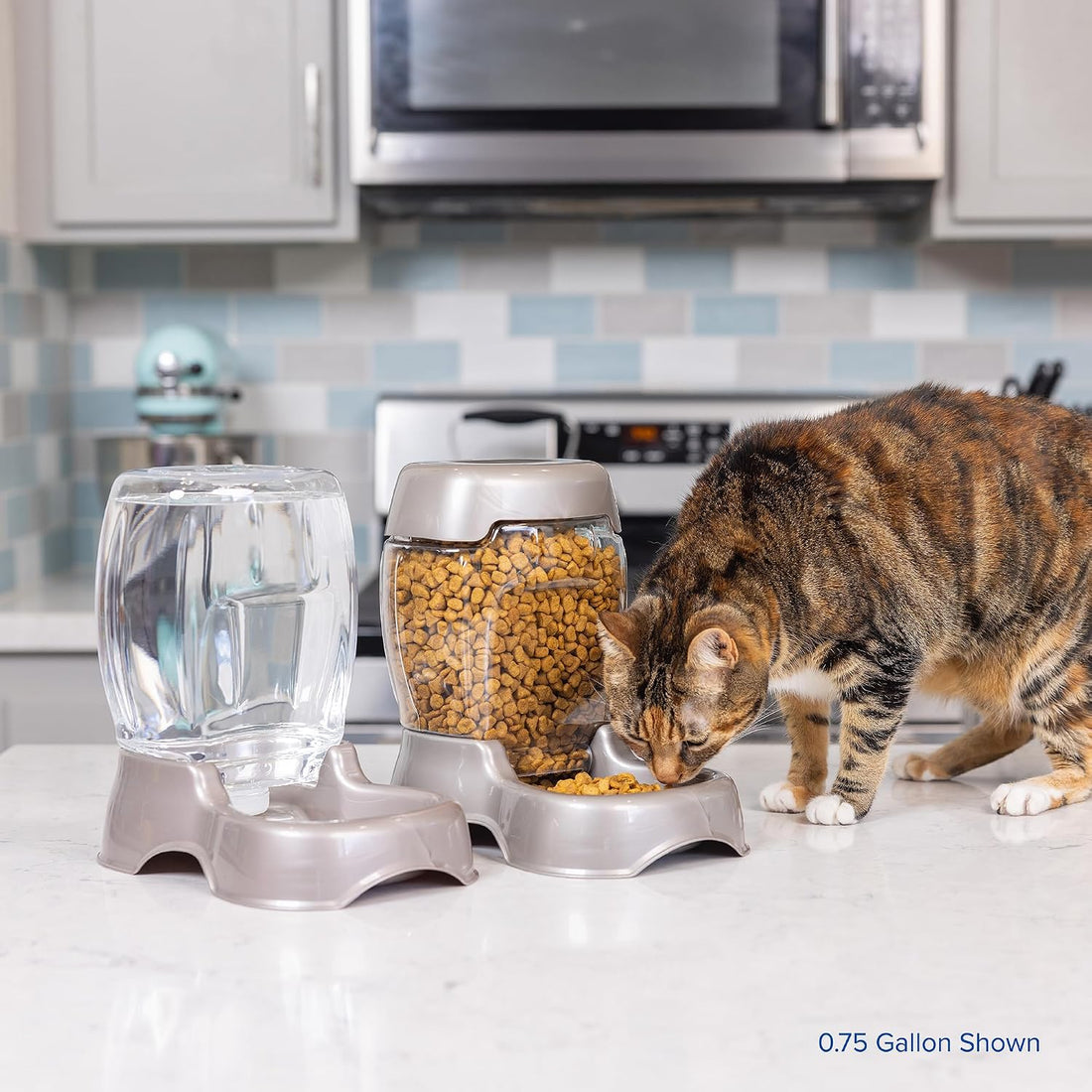 Petmate Pet Cafe Cat and Dog Gravity Water Dispenser